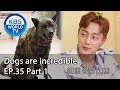Dogs are incredible | 개는 훌륭하다 EP.35 Part 1 [SUB : ENG,CHN/2020.07.22]