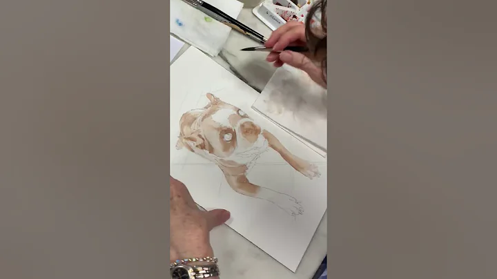 Step by step pet portrait