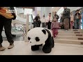 Quadruped robots performing parkour style challenges in shopping mall