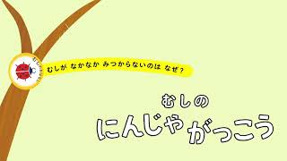 【絵本読み聞かせ】むしのにんじゃがっこう／西東社『ぐんぐん頭のよい子に育つよみきかせ いきもののお話25』より