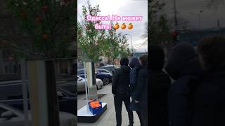 МАНДАРИНЫ ВЫРОСЛИ В ОДЕССЕ🍊17 декабря 2023✨#одесса #одессапрямосейчас