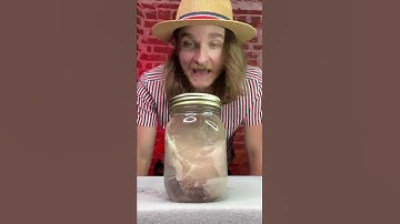 I left raw steak in vodka for a month 🥩