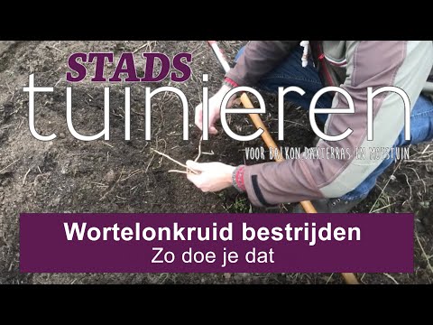 Video: Hoe vier uur bloemen te planten (met afbeeldingen)