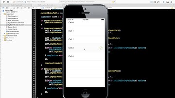 UITableViewCell with custom accessory