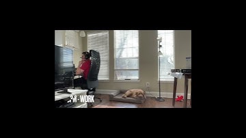 Software Engineer at Microsoft (Remote) - Day in the Life #microsoft #software #dayinthelife