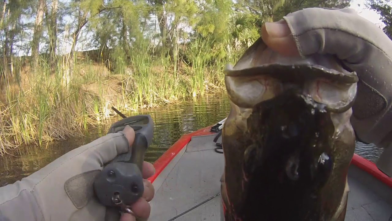 GMoneystrong Outdoors YouTube Spring Fishing Tournament bag upgrade