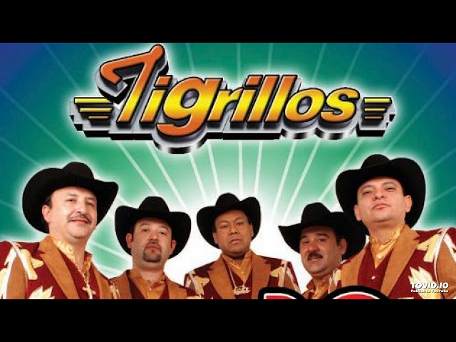 Los Tigrillos - El gallito copetón