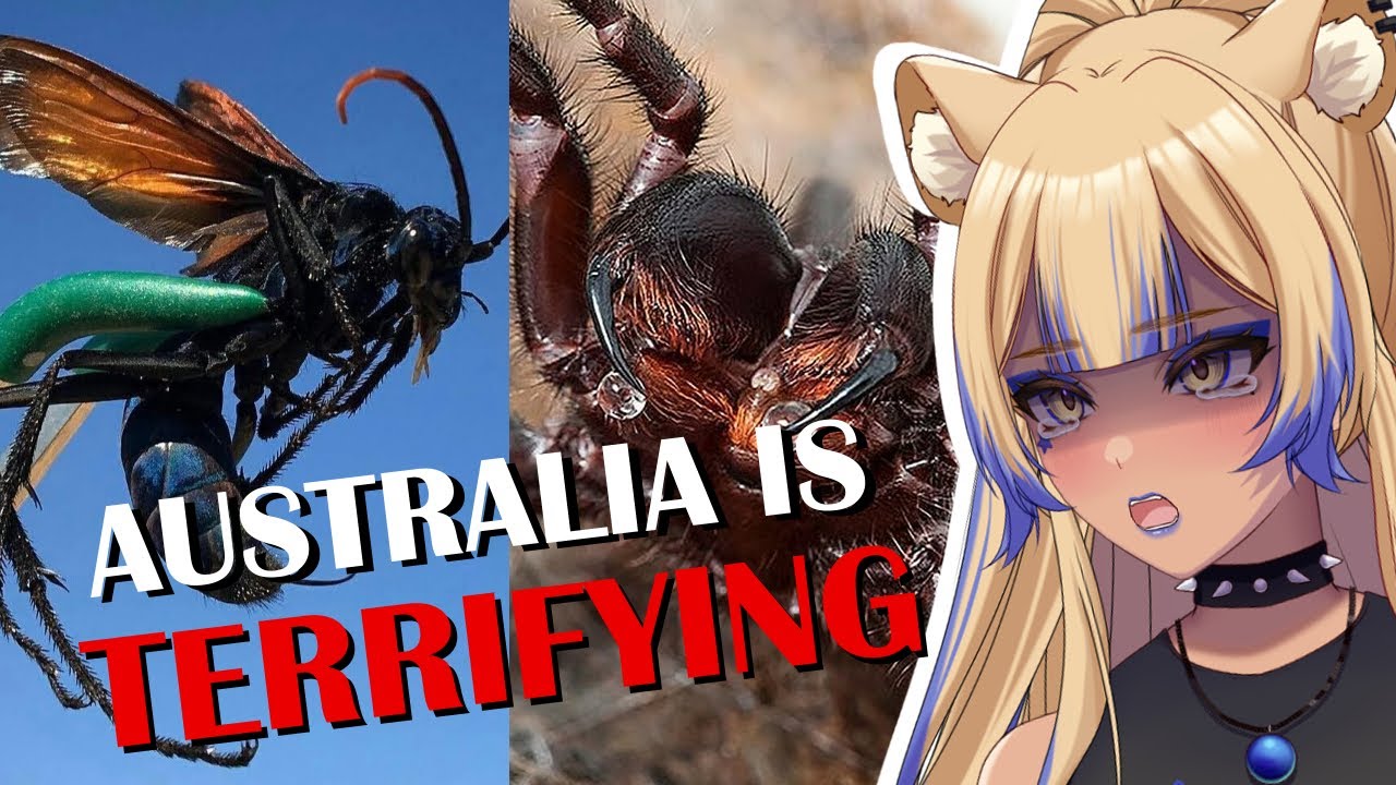 НАСКОЛЬКО АВСТРАЛИЯ РЕАЛЬНА?! | Ещё больше реакций Parz