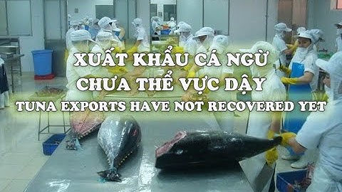 VASEP Highlight - T6/2023: Xuất khẩu cá ngừ chưa thể vực dậy