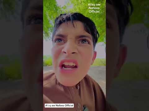 Pashto Vines 2025