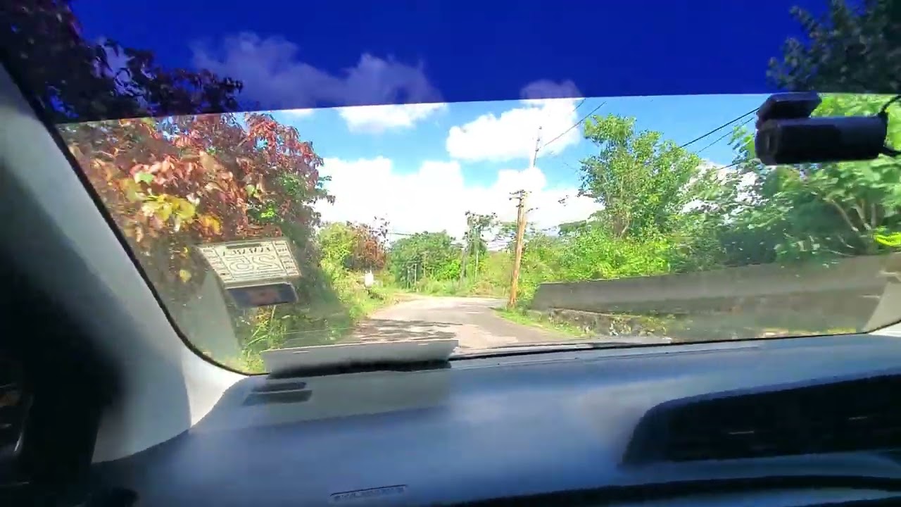 Waltham Mandeville Manchester, Jan 15