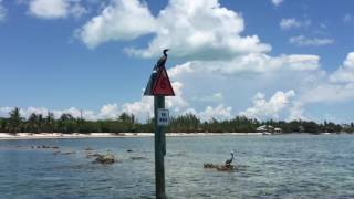 Cortez Dr. and Columbus Dr. Lower Matecumbe Canal