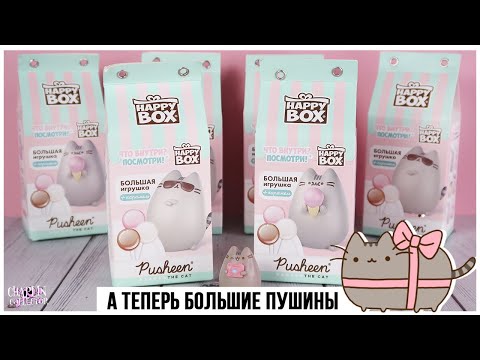 Pusheen cat💕 в Happy Box | Большие котики Пушин от Сладкой Сказки