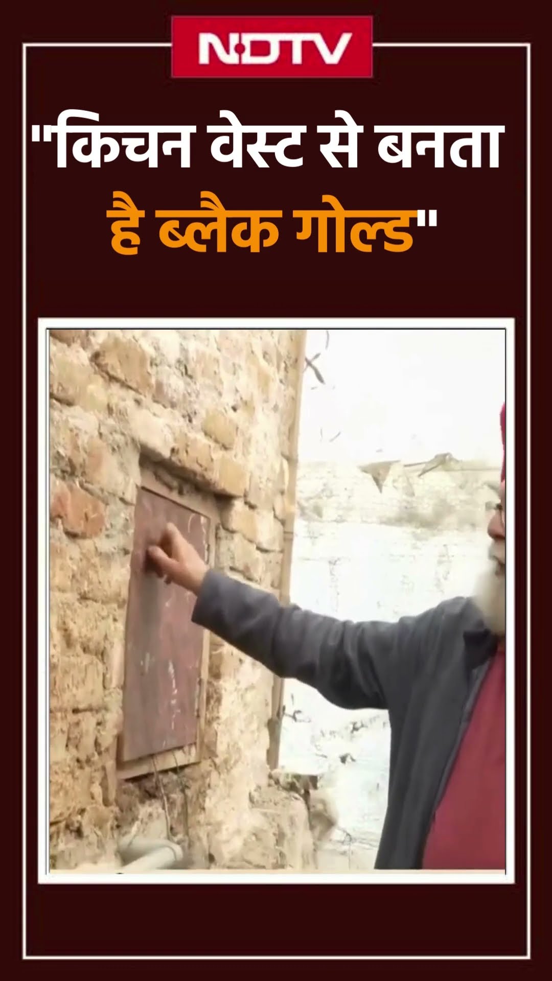 Kitchen Waste से कैसे बनती है पेड़ों के लिए खाद?