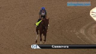Gunnevera 2017 Kentucky Derby Hopeful 4.27