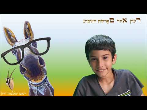 וִידֵאוֹ: רעיון אחד - שתי שרשראות