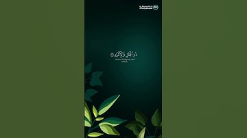 كُلُّ مَنْ عَلَيْهَا فَانٍ | ما تيسر من سورة الرحمن | القارئ بندر آل يسر