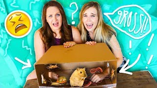 WHATS IN THE BOX CHALLENGE  EXTREME REACTION!