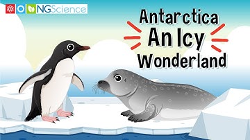 Antarctica – An Icy Wonderland