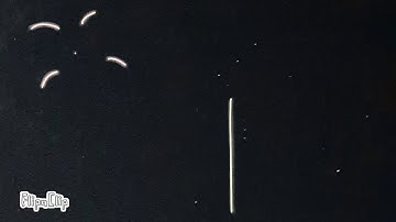 Fireworks🎆 | FlipaClip