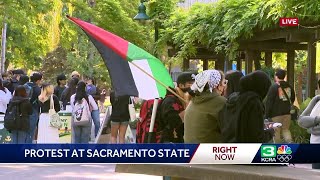 Pro-Palestinian protesters show up at Sacramento State