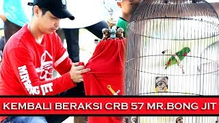 DUNIA KICAU : Kembali Beraksi Serindit Juara Mr. Bong Jit CRB 77 Di Surya Cup 1