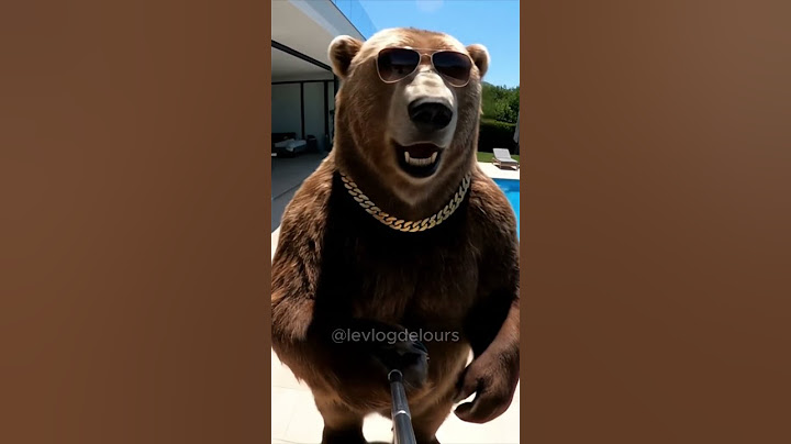 Je fais le coup du siècle ! #ours #vlog #humour #bitcoin #trading #drole