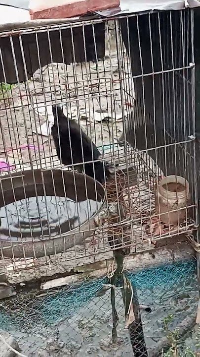 anh.em.nao.thich.lh.0944652913