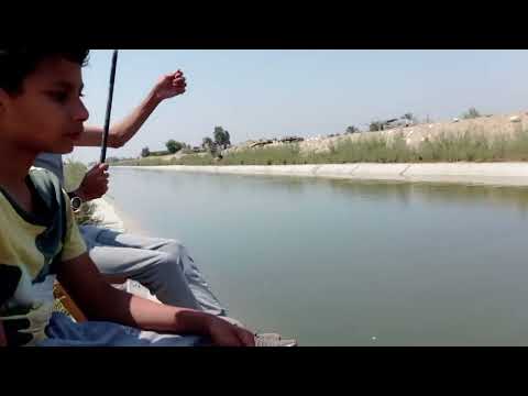 القابوطى الجديد بورسعيد