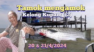 Full Video Kelong Kupang (2) Sabak Bernam, Selangor | 20 & 21 April 2024