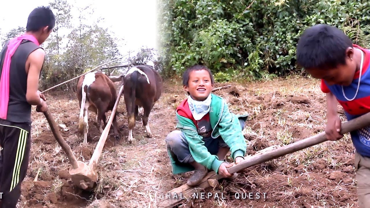 Difficulties of Rural Life  ( tough life of Nepali village children )