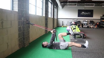 Core Engaged Dead Bug