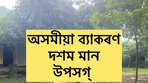 Assamese Grammar Class 10/HSLC 2026/Compulsory/ASSEB