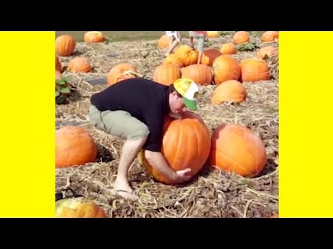 Pumpkin Spicing Things Up With These Funny FALL FAILS | Funny Videos