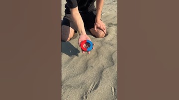 An ordinary magnet can find this metal on any beach!