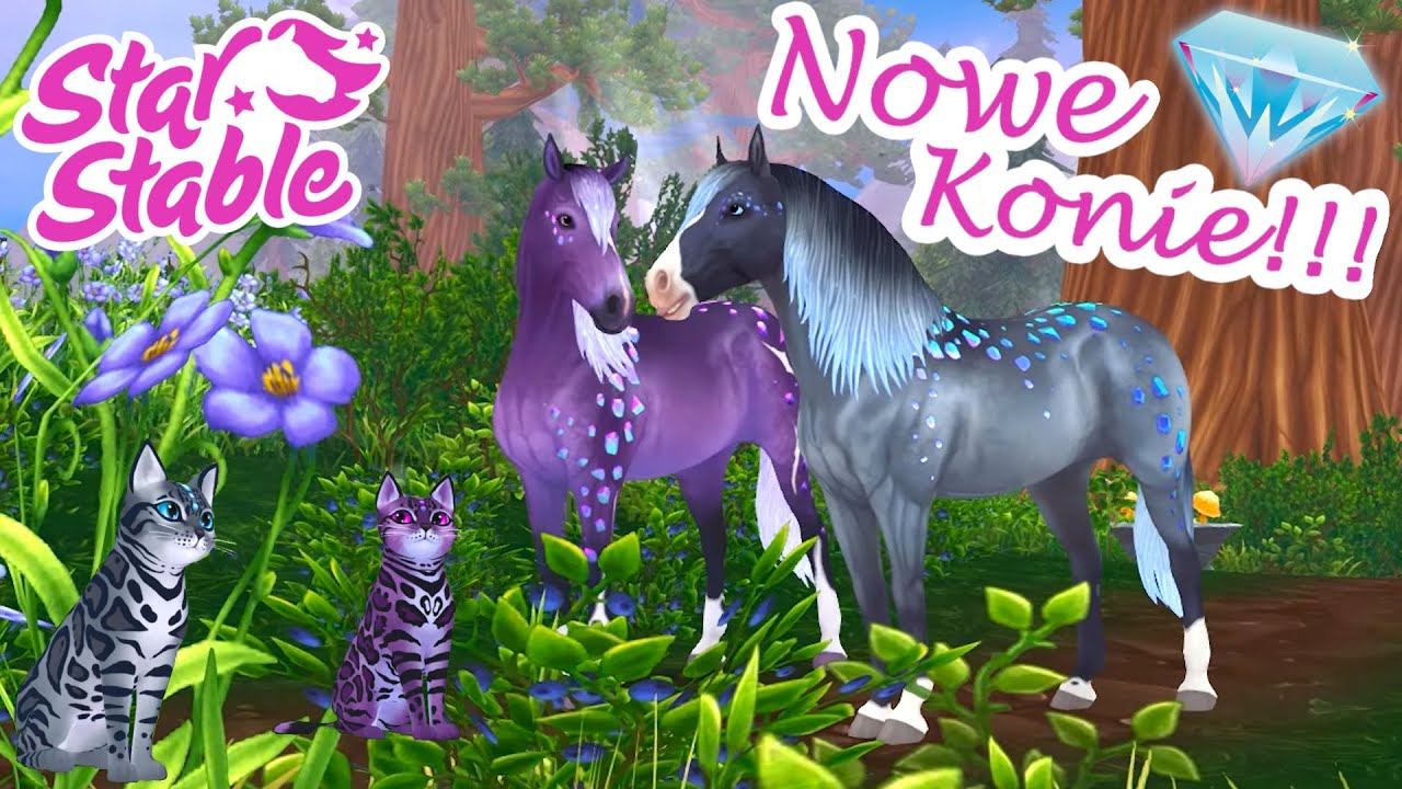 Skąd Wziąć Wiadro W Star Stable Star Stable / Aktualizacja 8 Marca 2023 / Nowe Magiczne Konie Calder i
