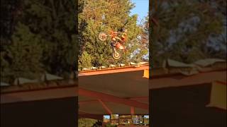 Questa MOTO RC è INDISTRUTTIBILE quando salta test salti altissimi LOSI PROMOTO MX #rc #test