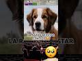 Un perro nunca traiciona 🥺 si la vez lloraras #shorts #viralvideo #movie #viralshorts #peliculas