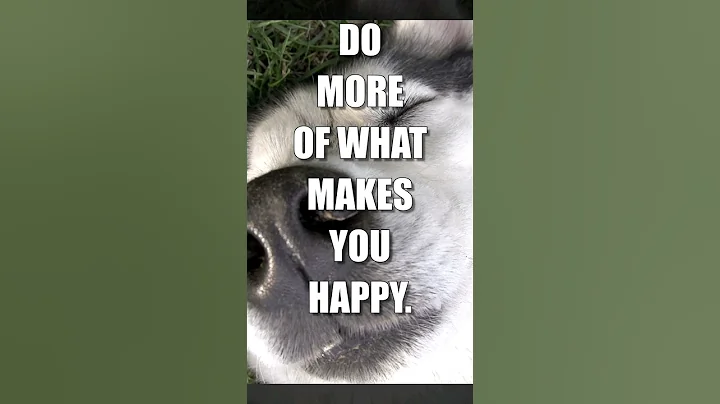 Do More of What Makes You Happy 🙂🙂🙂 #motivation #happiness #smile