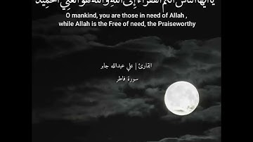 القارئ : علي عبدالله جابر | آيات من سورة فاطر