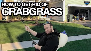 How to Get Rid of Crabgrass so it Doesn’t Come Back  (EASY DIY)