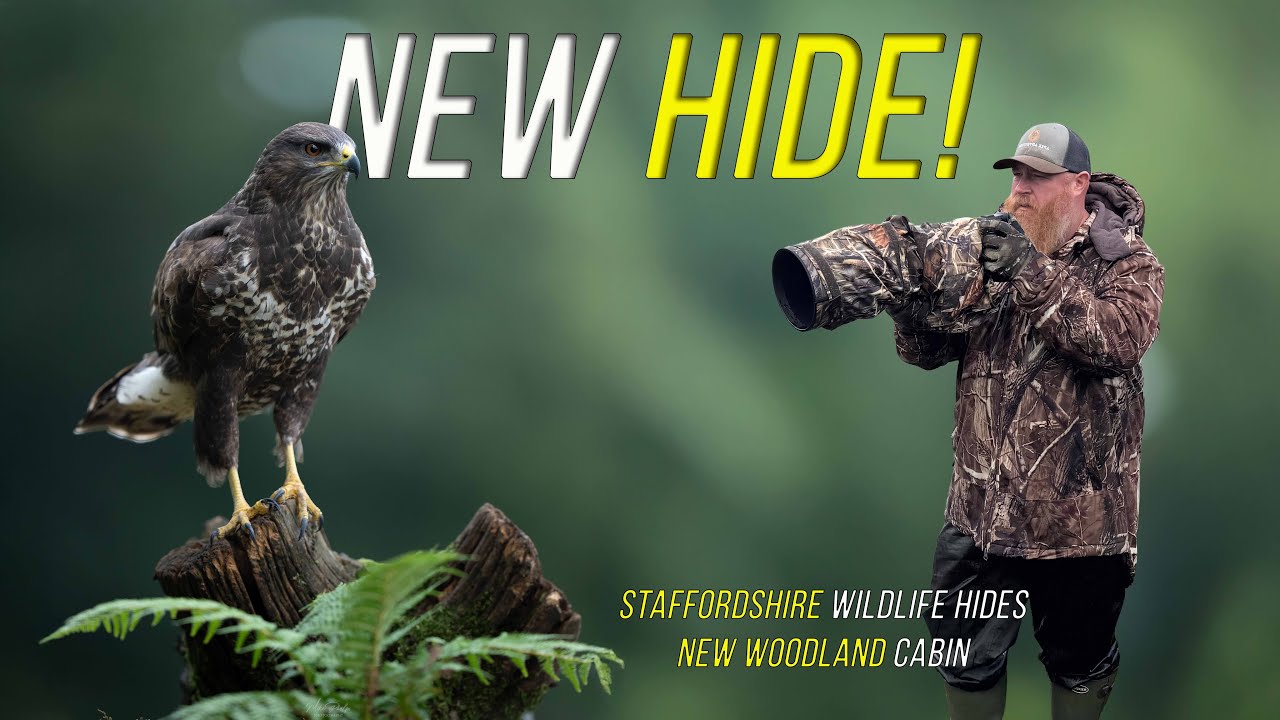 Убежища дикой природы Стаффордшира: новое убежище! Это лучший в мире пруд с зеркалом?