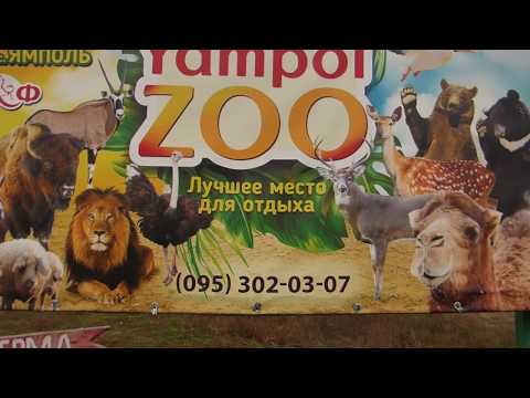 Ямполь.(часть1) Страусиная ферма. Зоопарк.2019г.