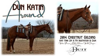 Duit Performance Horses - Dun Katin Around - AQHA Gelding - Western Pleasure