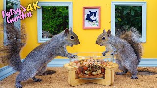 🔴 Cat TV for Cats to Watch 😸 Squirrels Take Over the Nuthouse 🕊️ Bird Videos for Cats