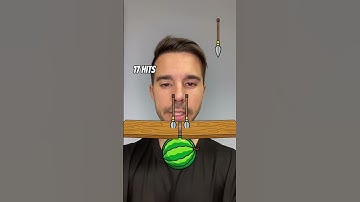 THE FILTER OF THE WATERMELON