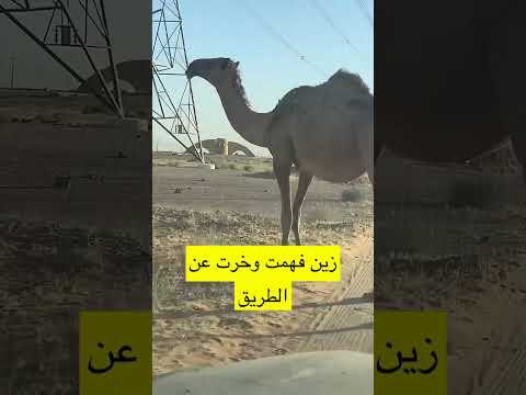 منوعات خالد الحربي الاشتراك بالقناه