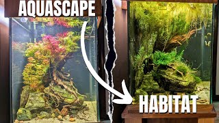 How I Keep My Fish Tank Thriving My Journey Tips