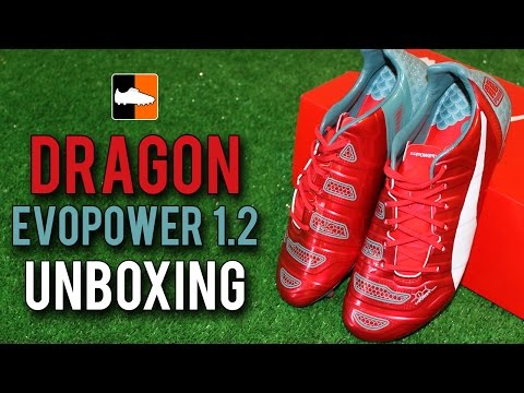 puma evopower dragon