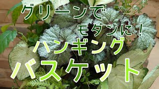 観葉植物『ハンギングバスケット』夏のガーデニングはコレで決まり！玄関先をオシャレに演出♪お手入れ楽チンなグリーンを取り入れてみてはいかがでしょうか